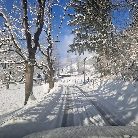 Panoramaplatzl * Goldegg